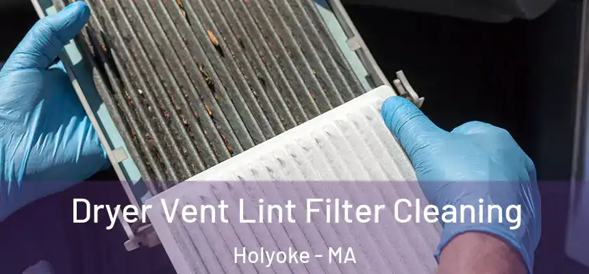  Dryer Vent Lint Filter Cleaning Holyoke - MA