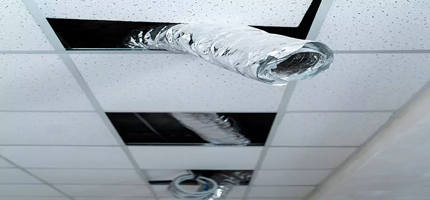 Our Air Duct Pet Hair Removal Services in Holyoke, MA