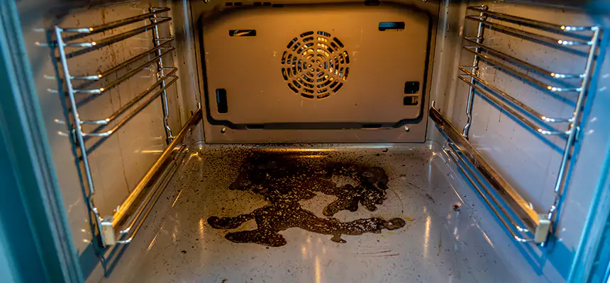 Our Dryer Vent Mold Cleaning Services in Holyoke, MA