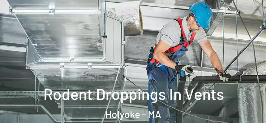  Rodent Droppings In Vents Holyoke - MA