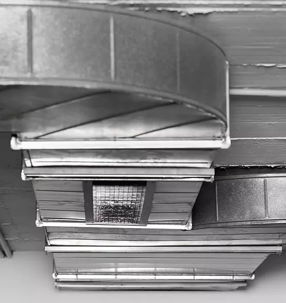 Professional Air Duct Pest Removal in Holyoke, MA