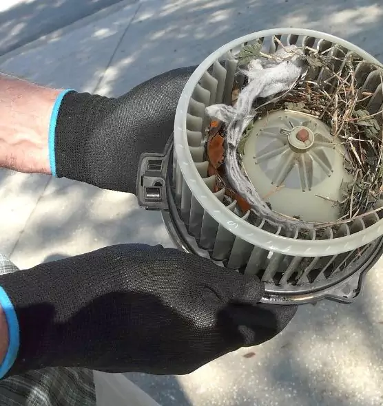 About Air Duct Rat Removal in Holyoke, MA