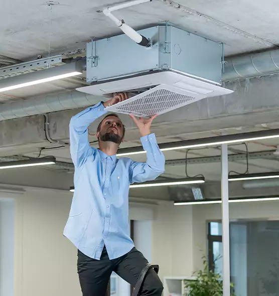 Advanced Rodent Droppings In Vents in Holyoke, MA