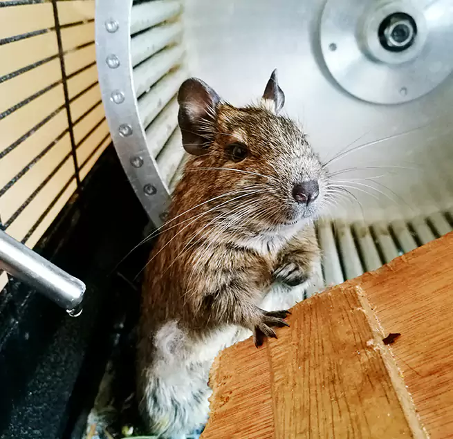 Why Homeowners & Businesses Trust Us Holyoke, MA